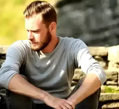 Trade Vector AI gestion des actifs